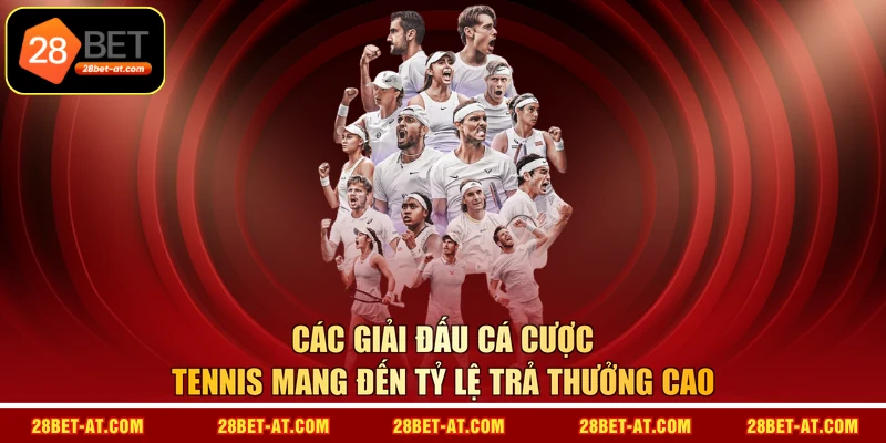 Các giải đấu cá cược tennis mang đến tỷ lệ trả thưởng cao