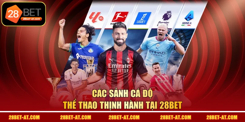 Các sảnh cá độ thể thao thịnh hành tại 28BET