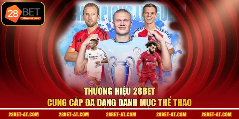 Thương hiệu 28BET cung cấp đa dạng danh mục thể thao 